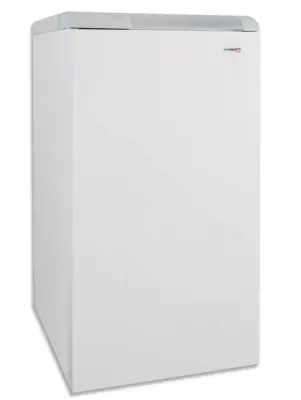 Котел газовый Protherm Медведь 30TLOR15 напольный/ одноконтурный/ атмосферный 26кВт с открытой камерой