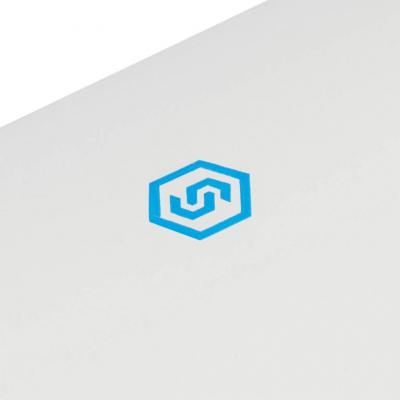 Элемент дымохода Stout DN60/100 труба коаксиальная 250 мм п/м, уплотнения и хомут в комплекте