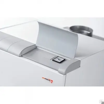 Котел газовый Protherm Медведь 30TLOR15 напольный/ одноконтурный/ атмосферный 26кВт с открытой камерой